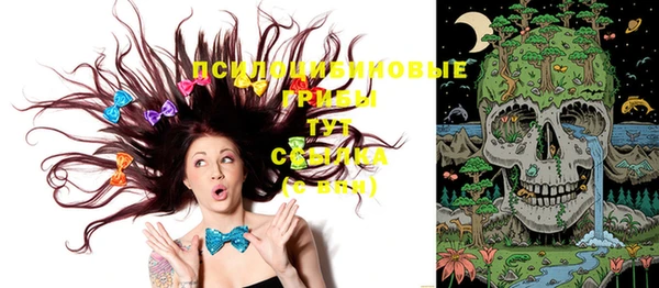 мяу мяу кристалл Покачи