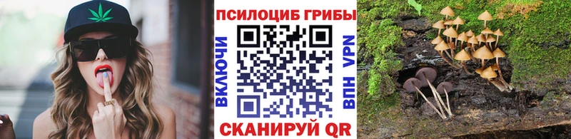 Купить закладки  Звенигово  Псилоцибиновые грибы мухоморы 