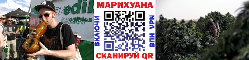 Купить где  Звенигово  Бошки Шишки план 